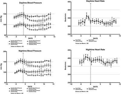 Activation of the Human Angiotensin-(1-12)-Chymase Pathway in Rats With Human Angiotensinogen Gene Transcripts